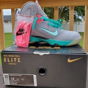 Lebron 9 P.S Elite “South Beach”